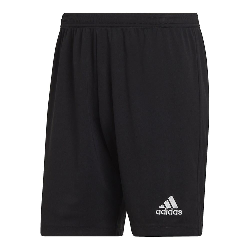 Adidas Entrada 22 Short - H57504