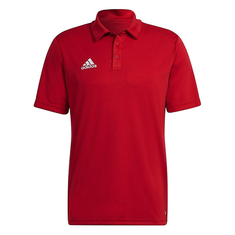 Adidas Core 18 Polo - CV3591