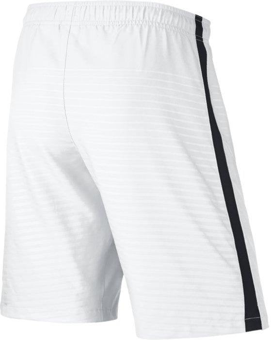 Nike Shorts- 645495-156