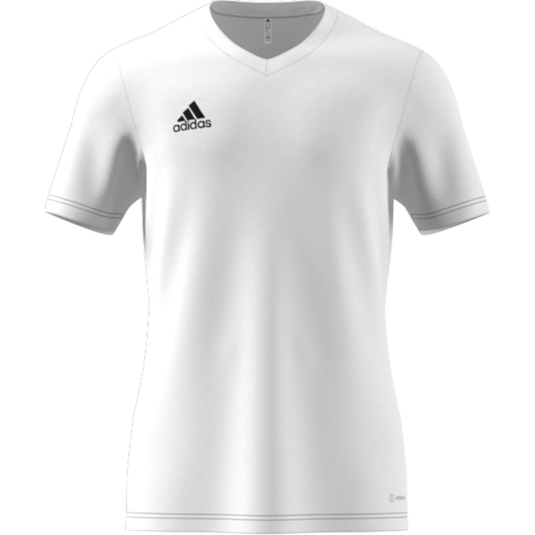 Adidas Men's Entrada 22 Jersey T-Shirt - HC5071