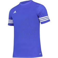 Adidas Men's Entrada 14 Jersey T-Shirt - F50491